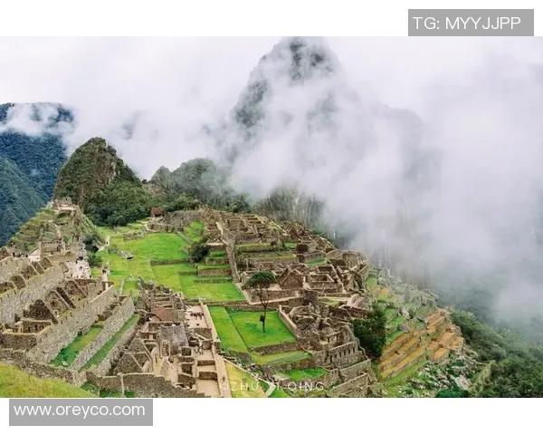 尼古拉斯的奇幻冒险之旅探索未知世界的神秘与奇迹